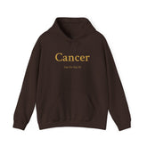 Cancer Zodiac Hoodie | Cozy Fantasy Hearth Magic Sweatshirt | Dogear Dreams - Dogear Dreams