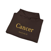 Cancer Zodiac Hoodie | Cozy Fantasy Hearth Magic Sweatshirt | Dogear Dreams - Dogear Dreams